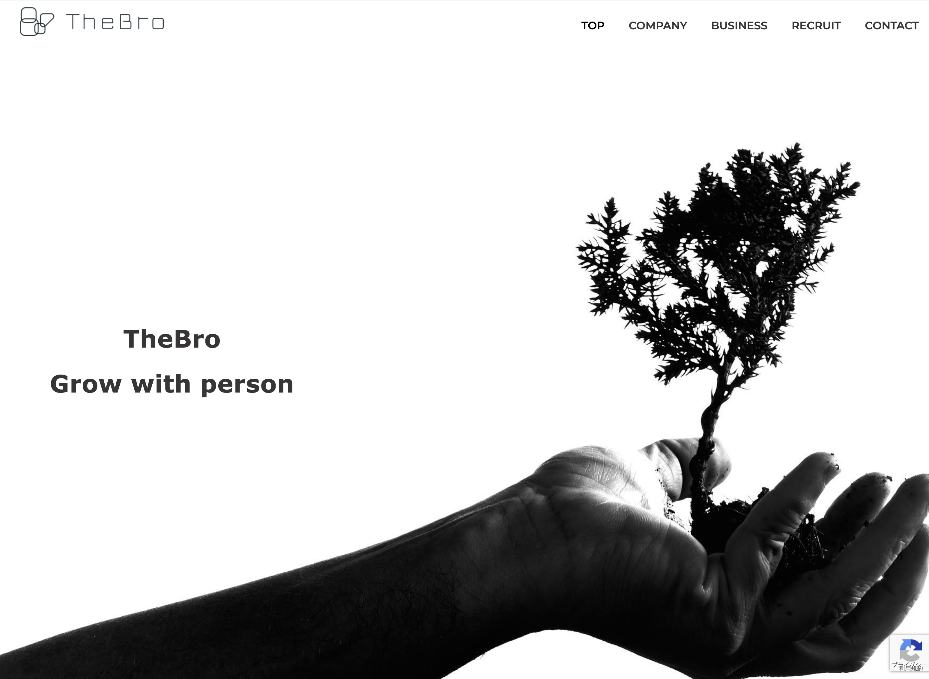 株式会社TheBroの株式会社TheBro:コンサルティングサービス
